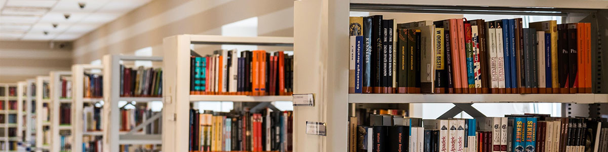 header image:bookcases
